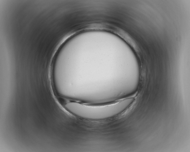X0000108480855200905011200