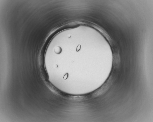X0000108480858200905011200