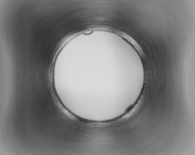 X0000108480860200905011200