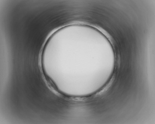 X0000108480862200905011200