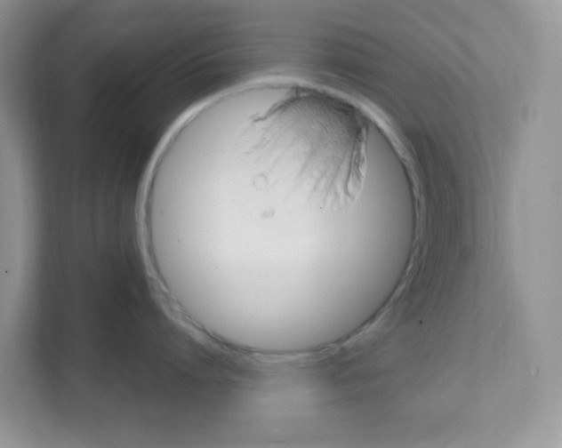 X0000108480864200905011200