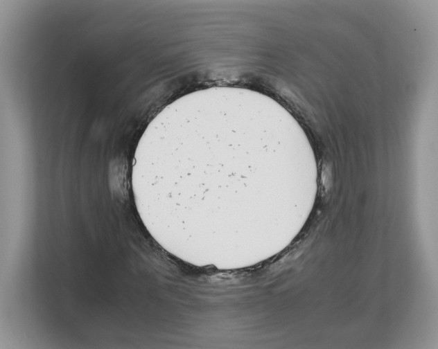 X0000108480867200905011159