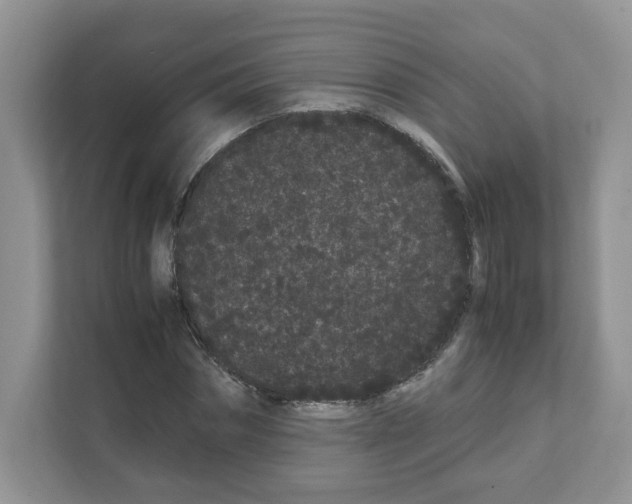 X0000108480874200905011159