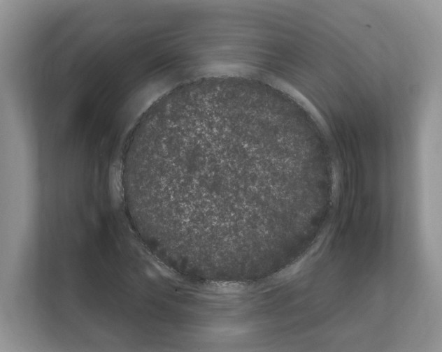 X0000108480878200905011159