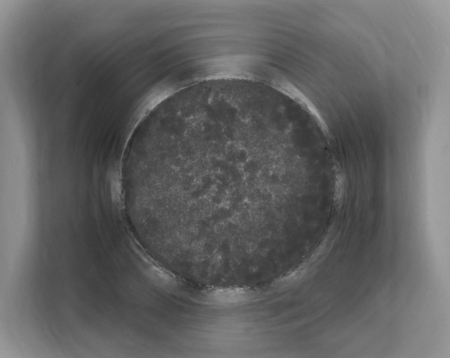 X0000108480882200905011159