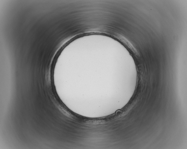 X0000108480884200905011159