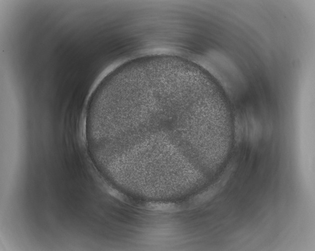X0000108480886200905011159