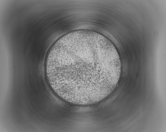 X0000108480890200905011159