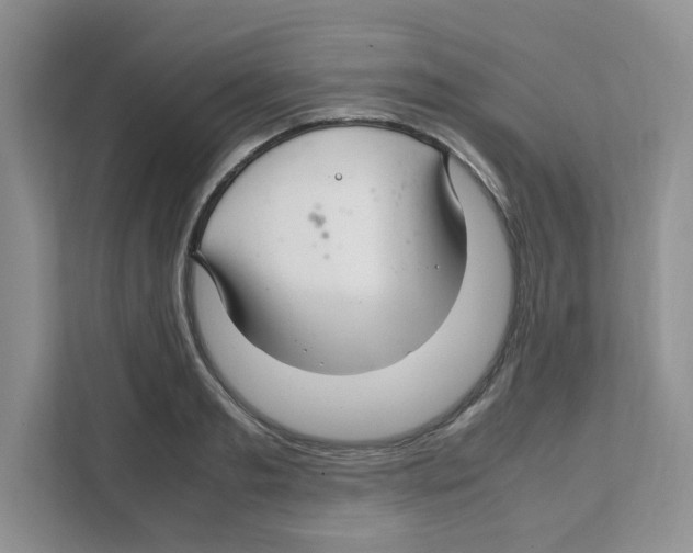 X0000108480893200905011159