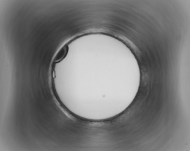 X0000108480894200905011159