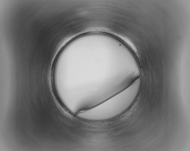 X0000108480895200905011159