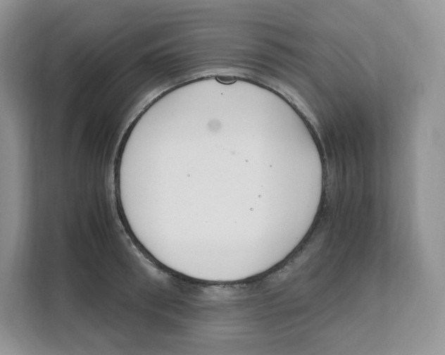 X0000108480898200905011159