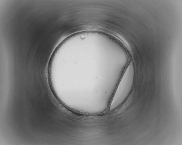 X0000108480899200905011159