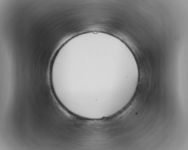 X0000108480902200905011159