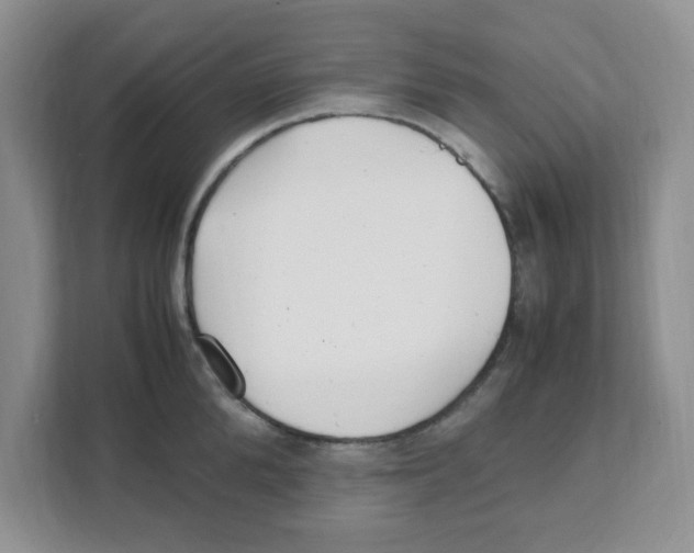 X0000108480904200905011159