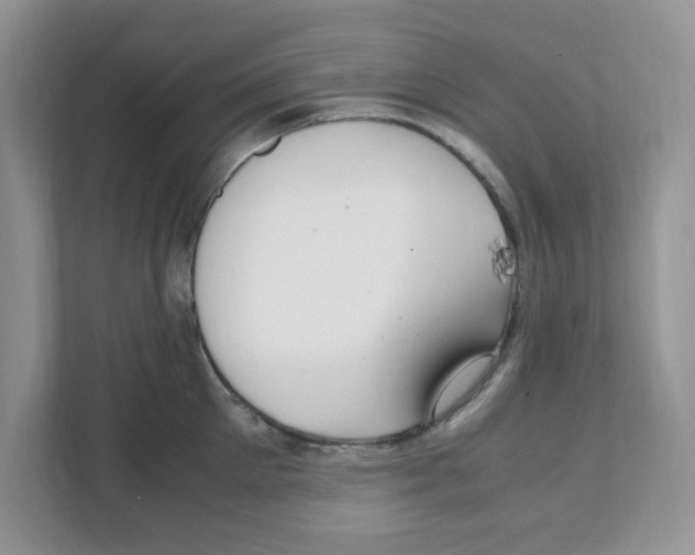 X0000108480905200905011159