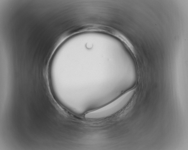 X0000108480907200905011159