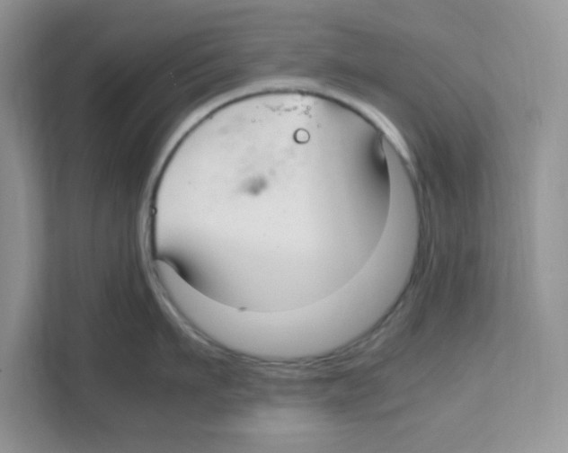 X0000108480911200905011159