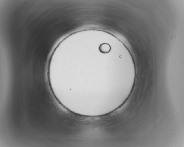 X0000108480912200905011159