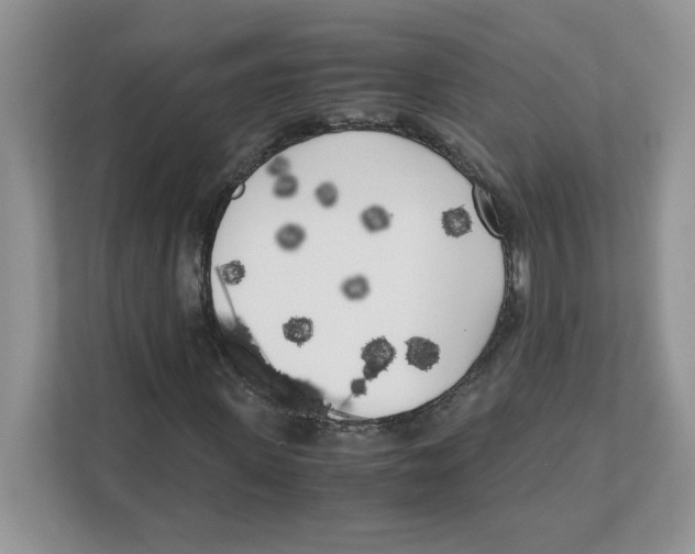 X0000108480915200905011158