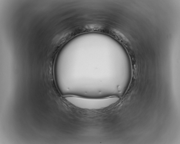 X0000108480917200905011158