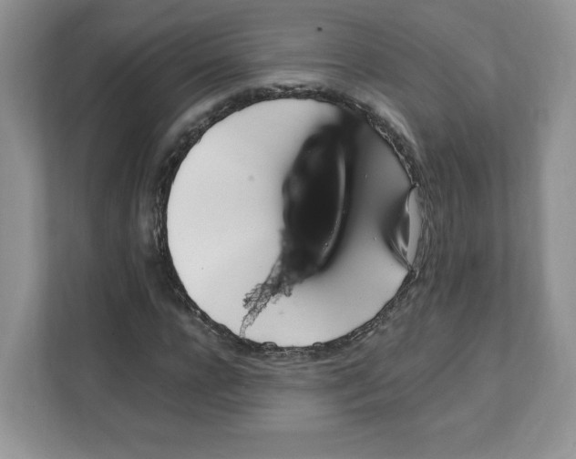 X0000108480920200905011158