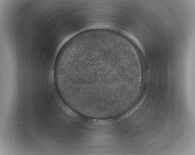 X0000108480928200905011158