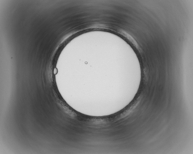 X0000108480931200905011159