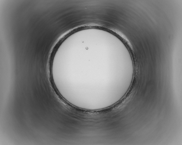 X0000108480935200905011159