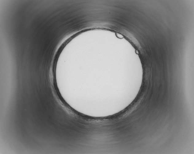 X0000108480936200905011159