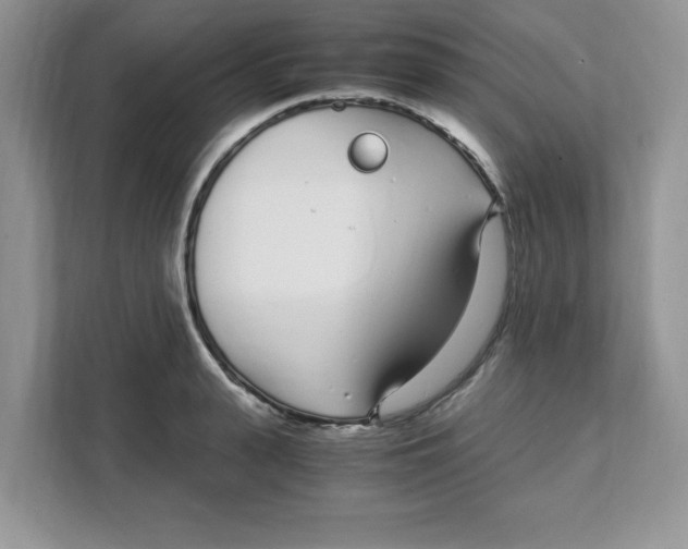 X0000108480943200905011159