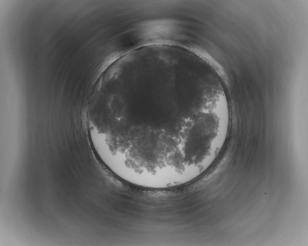 X0000108480945200905011159