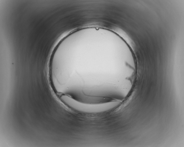 X0000108480949200905011159