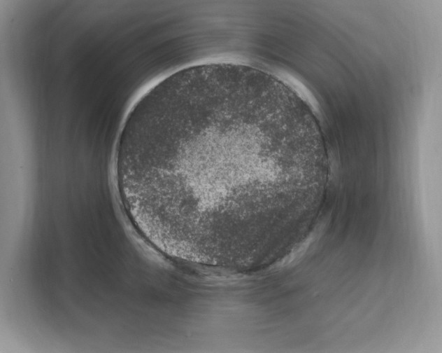X0000108480952200905011159
