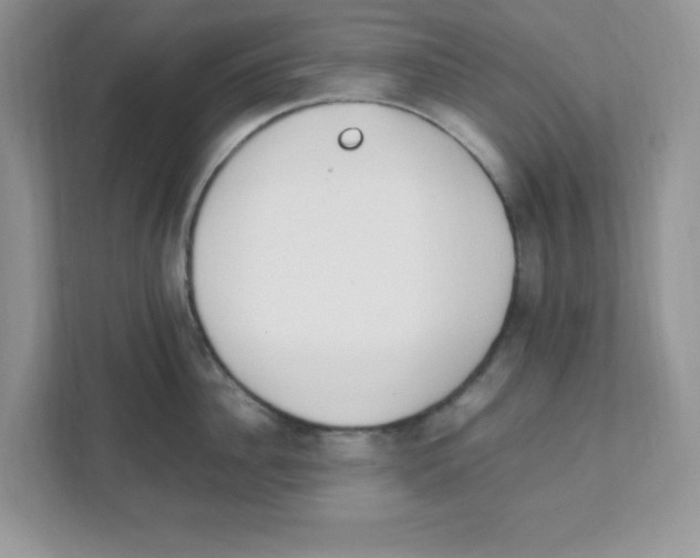 X0000108480956200905011159