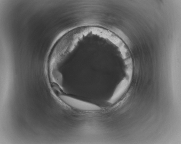 X0000108480958200905011159