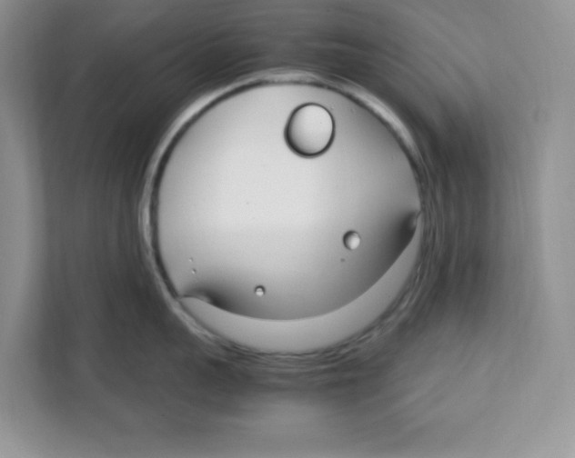 X0000108480959200905011159