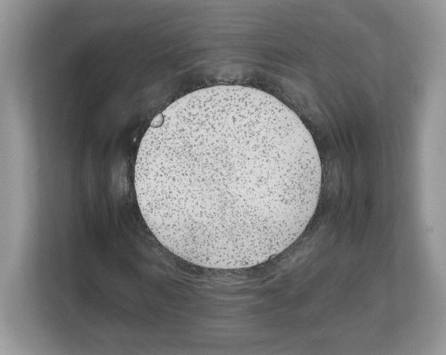 X0000108480962200905011158