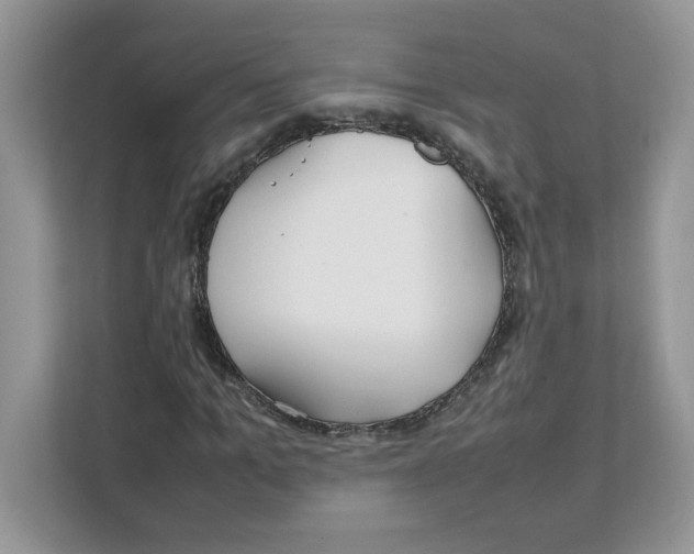 X0000108480965200905011158