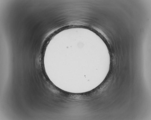 X0000108480971200905011158