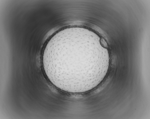 X0000108480978200905011158
