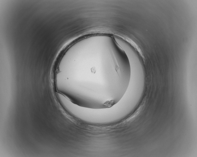 X0000108480981200905011158
