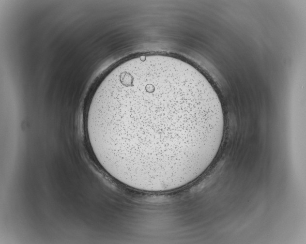 X0000108480982200905011158