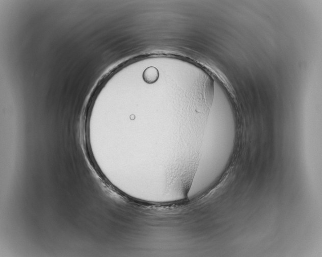 X0000108480984200905011158