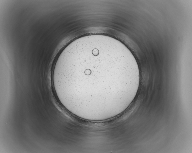 X0000108480986200905011158