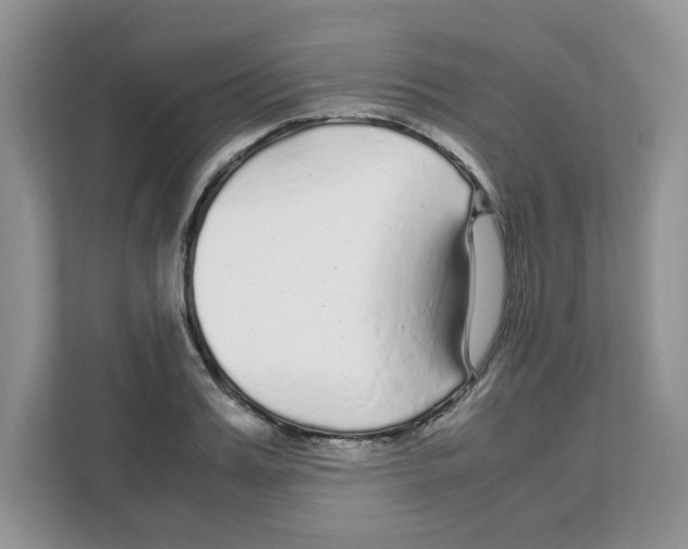 X0000108480987200905011158