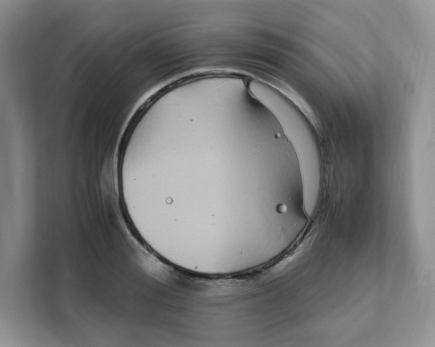 X0000108480988200905011158