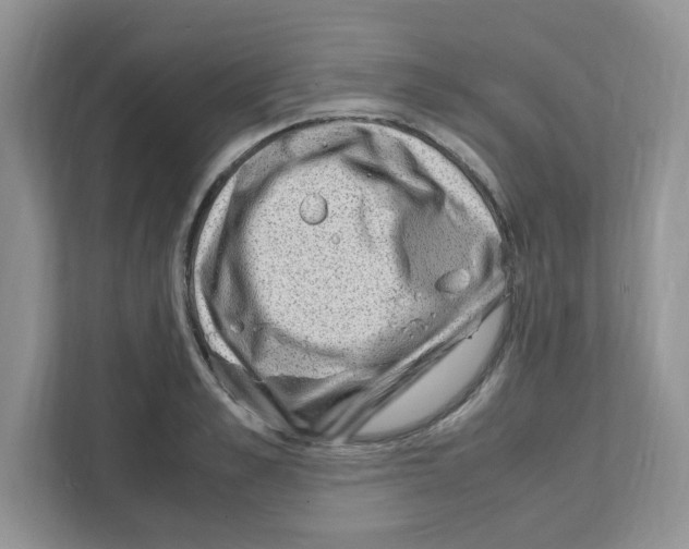 X0000108480989200905011158