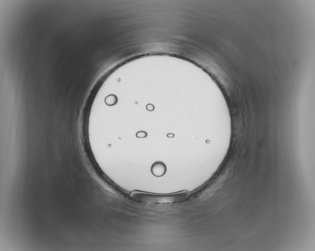 X0000108480991200905011158