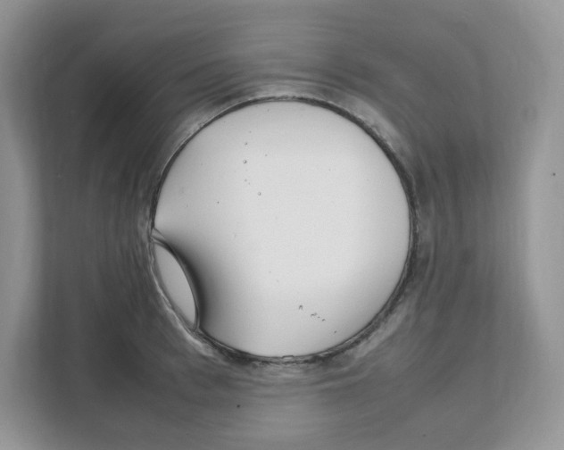X0000108480993200905011158